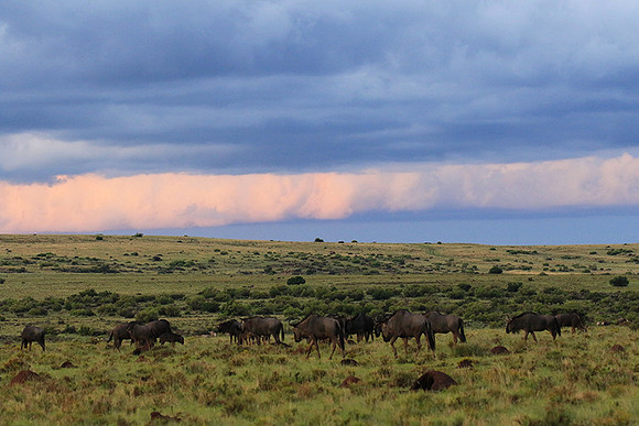 Sunset at Tiger Canyon - Karoo