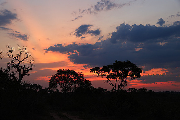 Sunset - Lion Sands