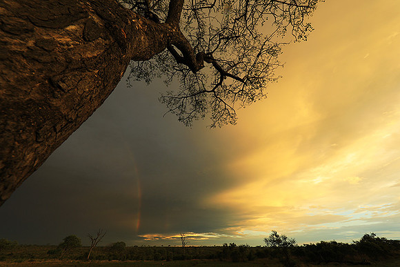 Sunset - Sabi Sand