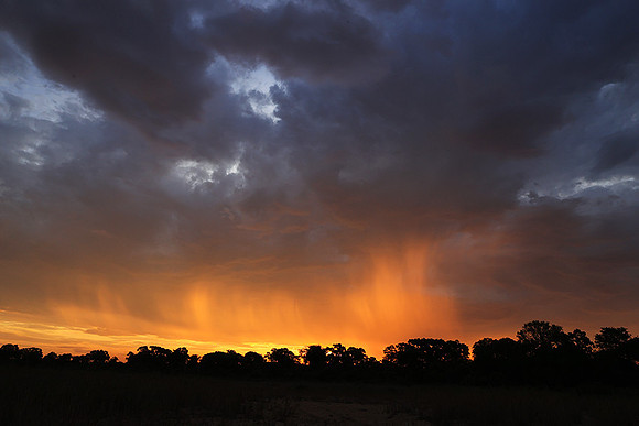 sunset - MalaMala