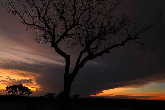 Sunset - Londolozi game reserve