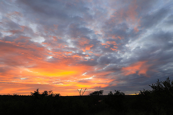 Sunset at Mala Mala
