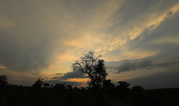 Sunset - Lion Sands