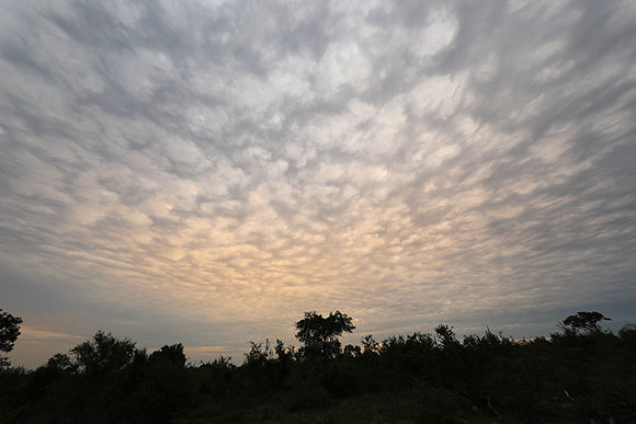 Sunset - Lion Sands