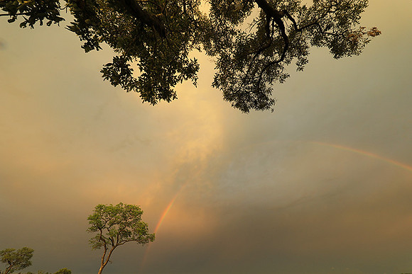 Sunset - Sabi Sand