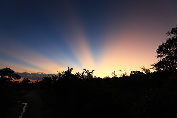 Sunset at Mala Mala