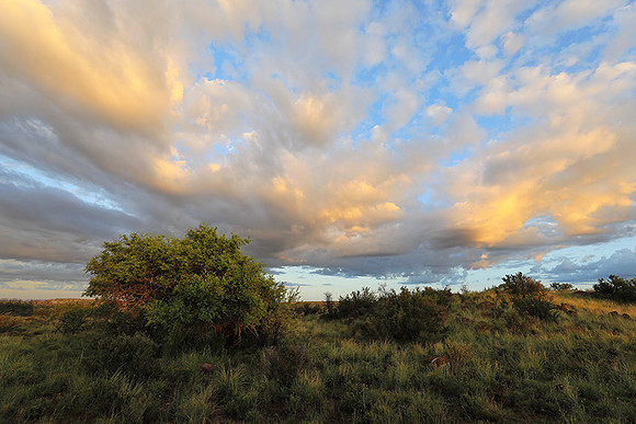 Sunrise at Tiger Canyon - Karoo