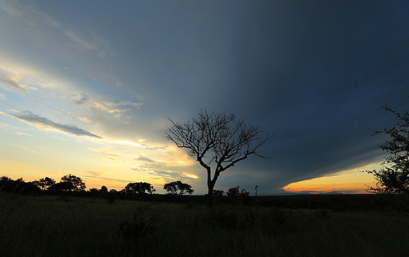 Sunset - Londolozi game reserve