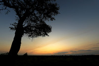 Sunset - Sabi Sand