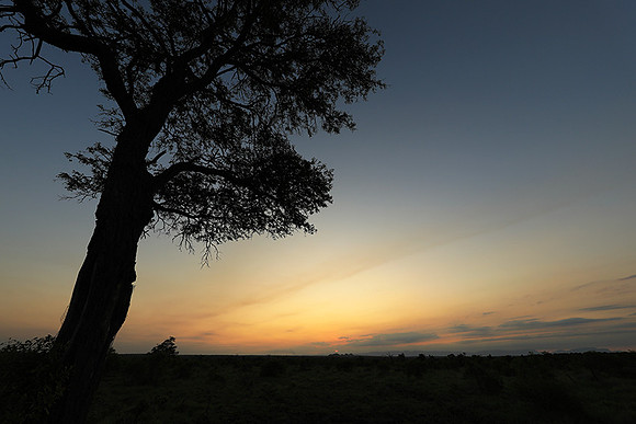 Sunset - Sabi Sand