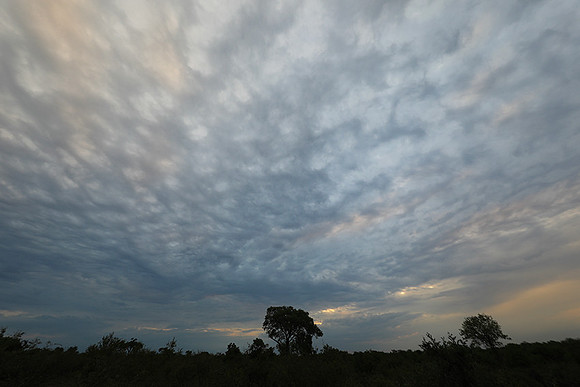 Sunset - Lion Sands