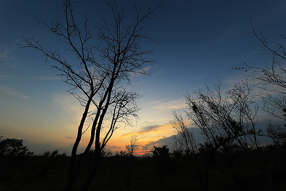 sunset - MalaMala