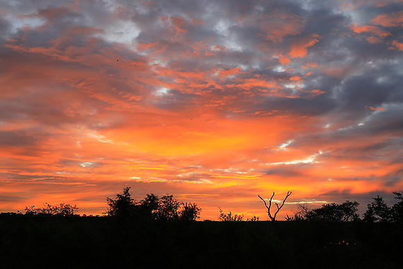 Sunset at Mala Mala