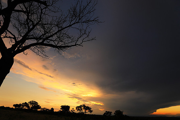 Sunset - Londolozi game reserve