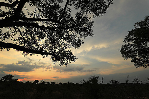Sunset - Lion Sands