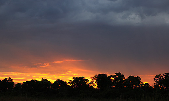 sunset - MalaMala