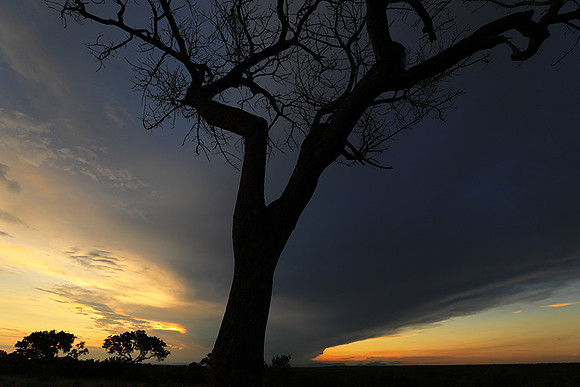 Sunset - Londolozi game reserve