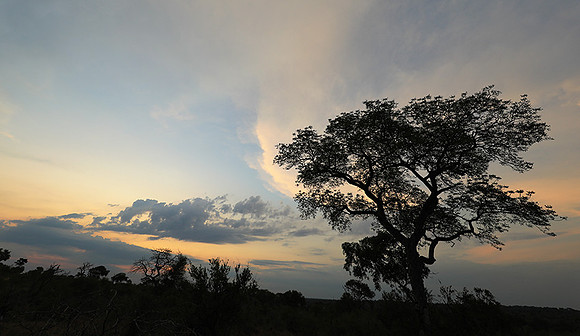 Sunset - Lion Sands