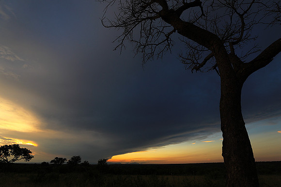 Sunset - Londolozi game reserve