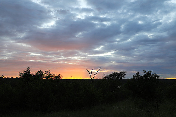 Sunset at Mala Mala