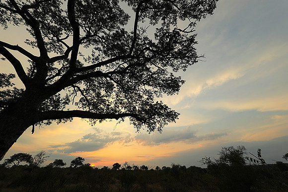 Sunset - Lion Sands