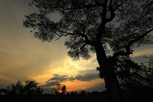 Sunset - Lion Sands