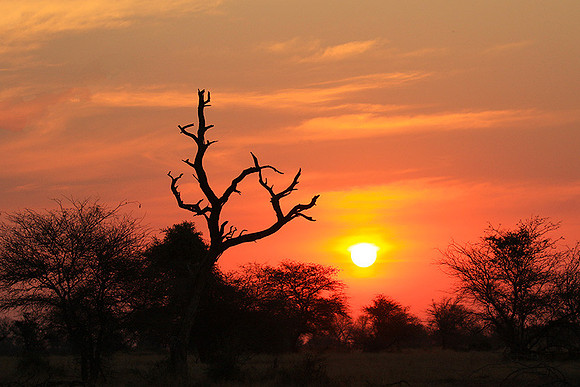 Sunset - Kruger NP