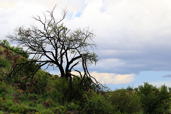 Sunset at Tiger Canyon - Karoo