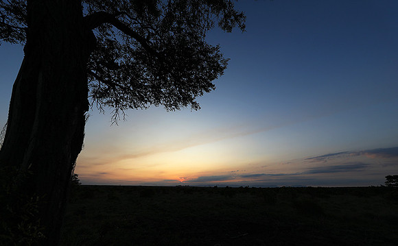 Sunset - Sabi Sand