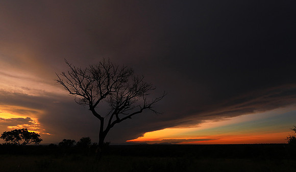Sunset - Londolozi game reserve
