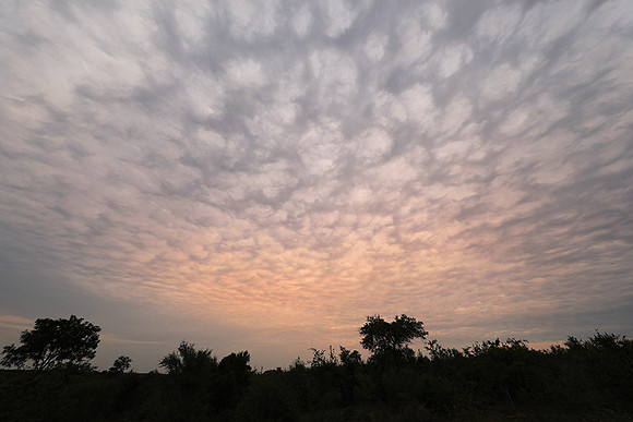 Sunset - Lion Sands
