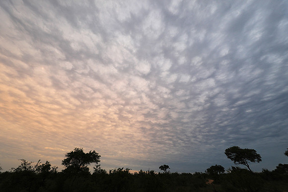 Sunset - Lion Sands