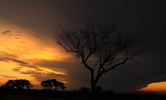 Sunset - Londolozi game reserve