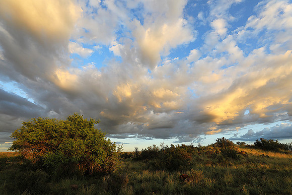 Sunrise at Tiger Canyon - Karoo