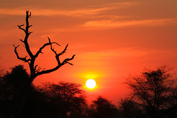 Sunset - Kruger NP