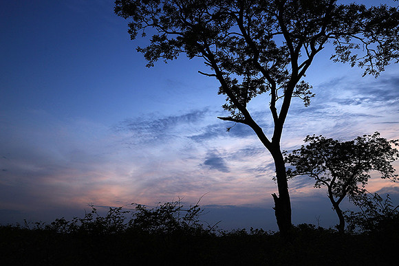 Sunset - Lion Sands