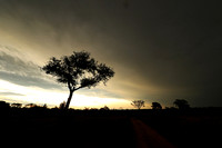 Sunset - Sabi Sand