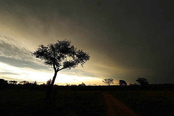 Sunset - Sabi Sand
