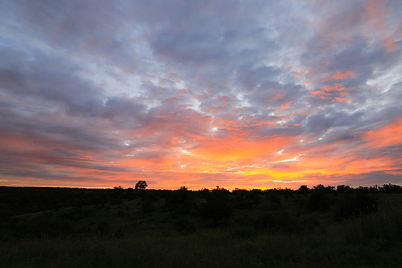 Sunset at Mala Mala