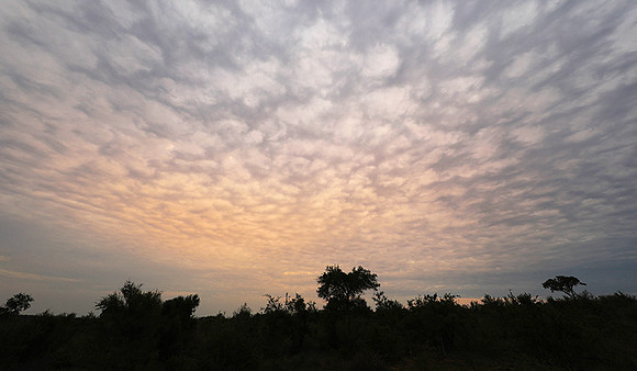 Sunset - Lion Sands