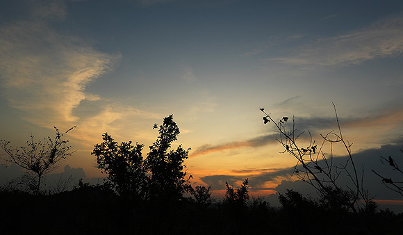 sunset - MalaMala