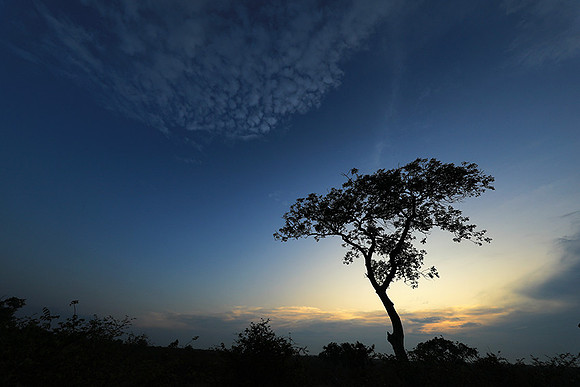 Sunset - Lion Sands