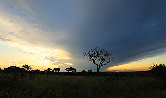 Sunset - Londolozi game reserve