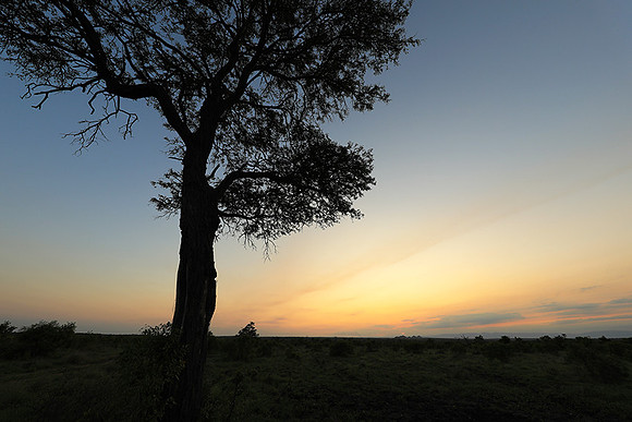 Sunset - Sabi Sand