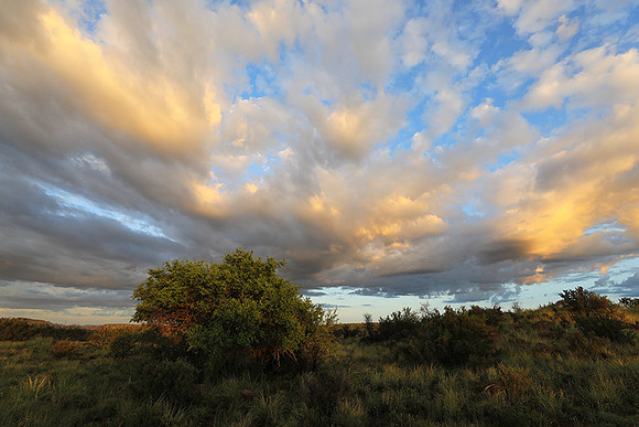 Sunrise at Tiger Canyon - Karoo