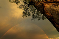 Sunset - Sabi Sand