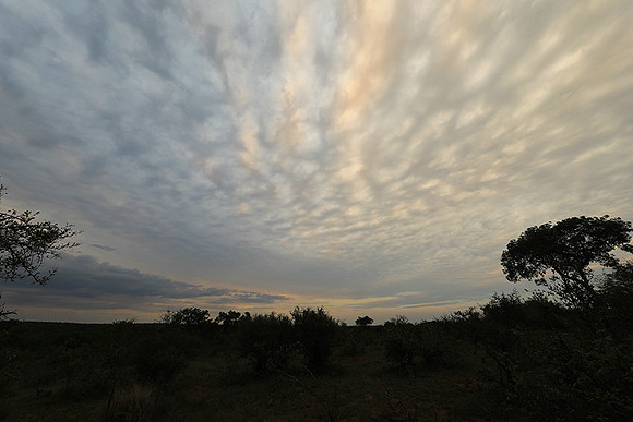 Sunset - Lion Sands