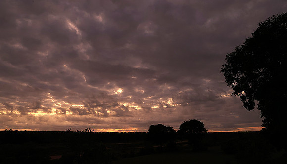 Sunrise - MalaMala