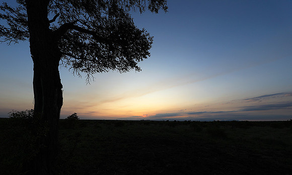 Sunset - Sabi Sand