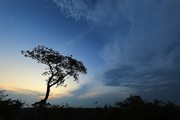 Sunset - Lion Sands